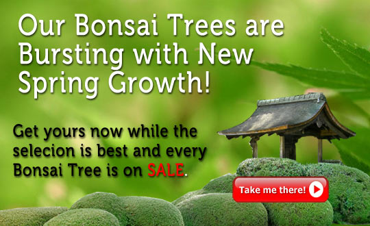 bursting-with-spring-growth-slider2.jpg