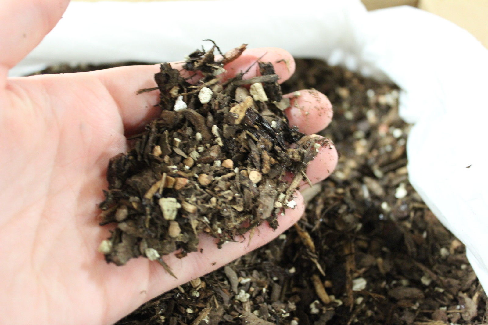 Bonsai Soil for Repotting