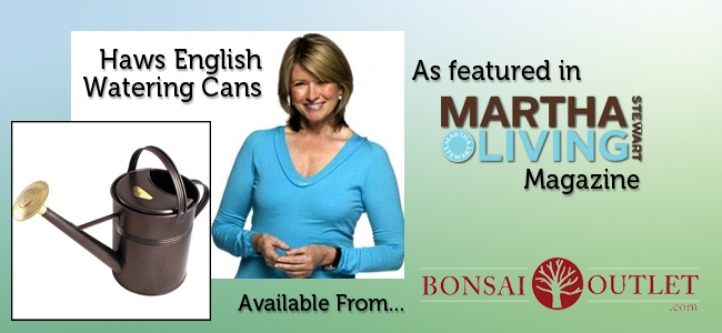 martha-bo-newsletter.jpg martha-bo-newsletter.jpg
